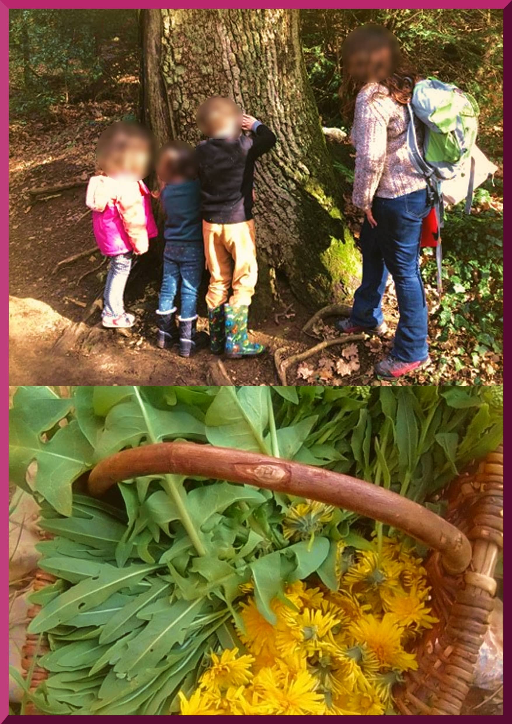 Famille en balade botanique et un panier de plantes comestibles